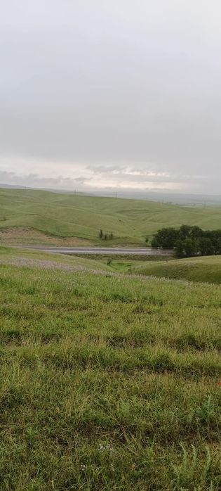 Земля 12 га в узынагаш