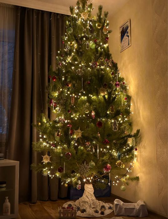 Новогодние Ели, Сосны, Пихта