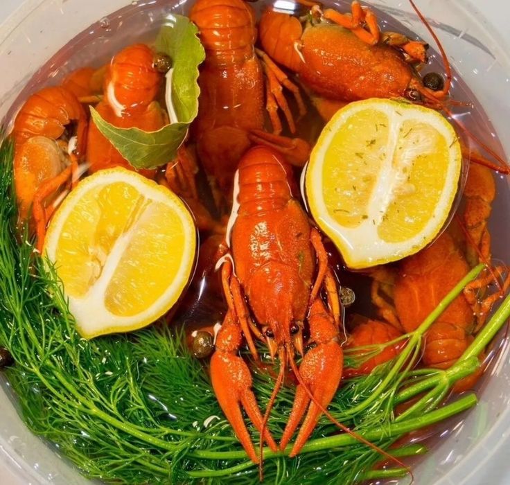 Живые речные раки