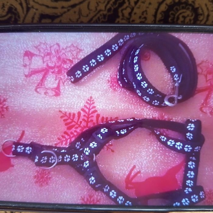 Продаётся шлейка с повадком.