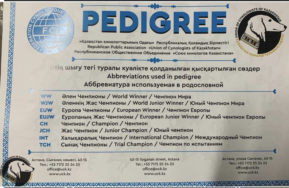 Продам кобеля Ягдтерьера