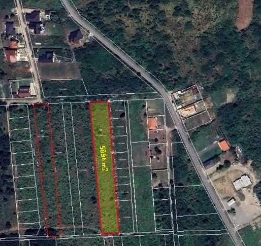 Teren 5094 mp Paleu – lângă lac – ideal investiție / parcelare