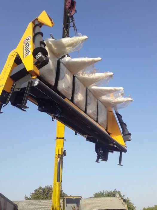 Маккажухори жаткаси