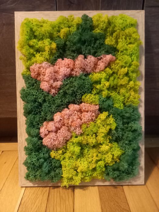 Картина със скандинавски мъх и естествени розови пъпки.