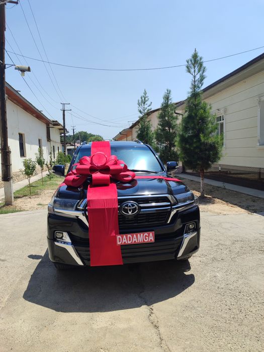 Bantiklar arzon narxta