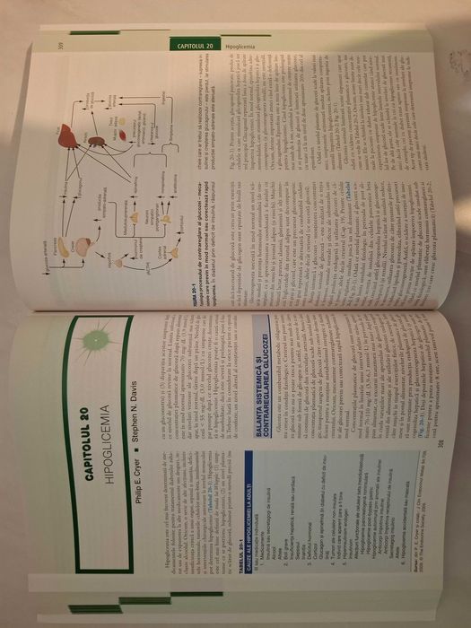 Harrison Endocrinologie