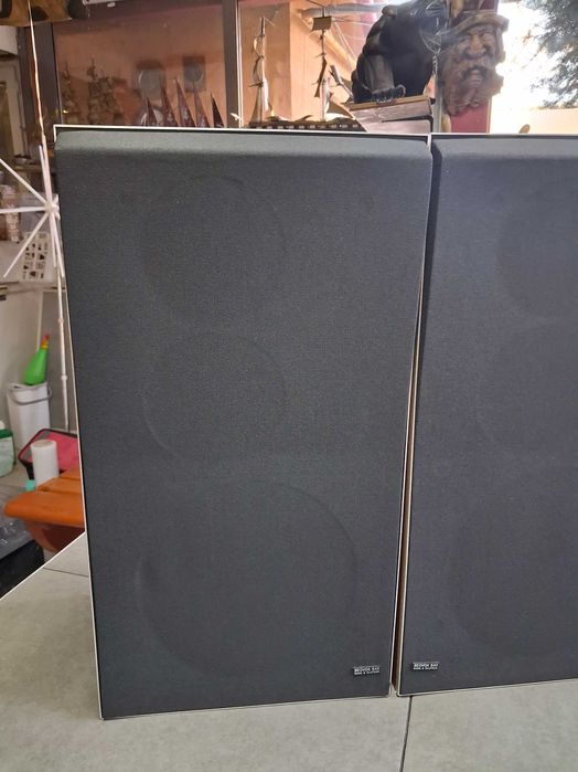 Boxe Bang&Olufsen BeoVox S45-2