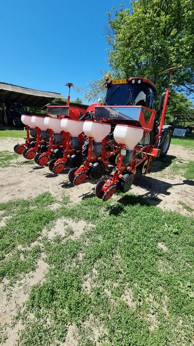 Semanatoare prasitoare  maschio/mascar  maxi 5