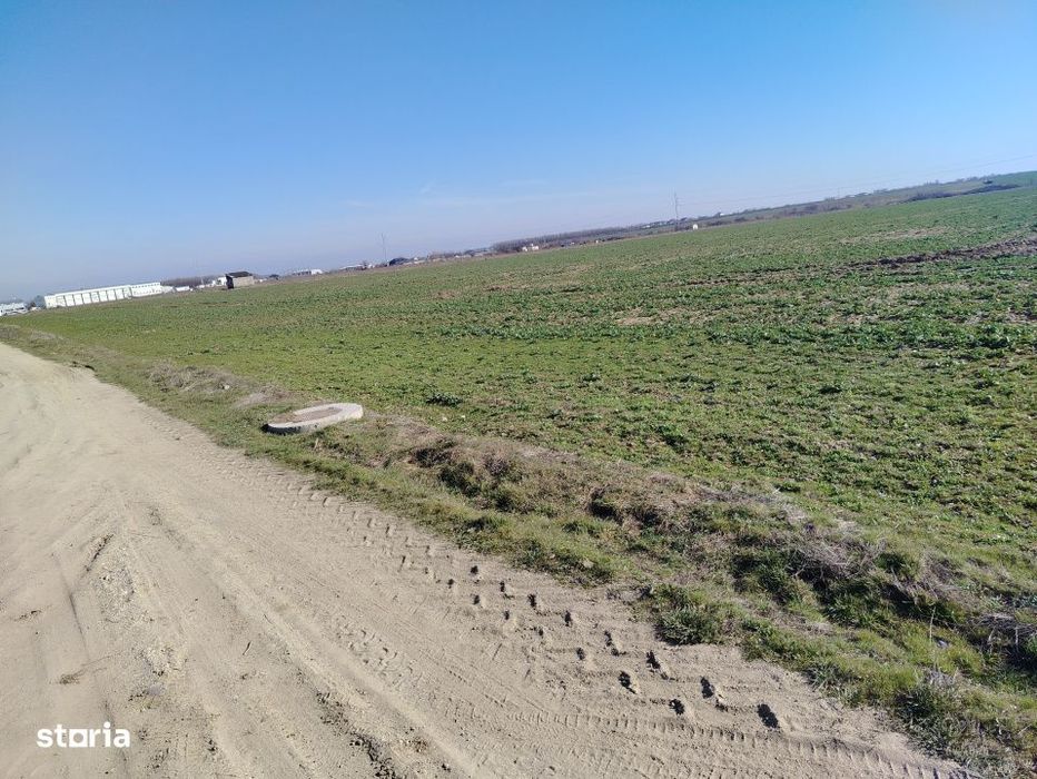 Teren extravilan, Carcea, 988 mp