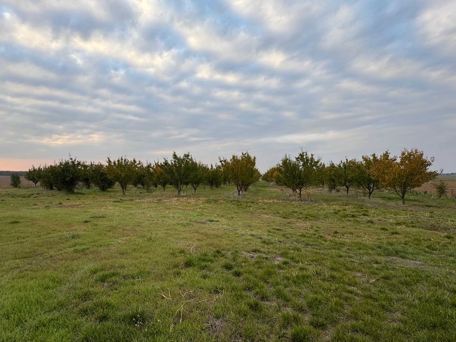 Продава се Земеделски имот в с. Чернолик, Област Силистра -  кв.м за 281 €/дка - Снимка #1