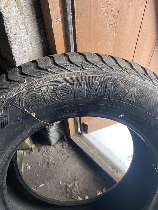 Продам резину екохама