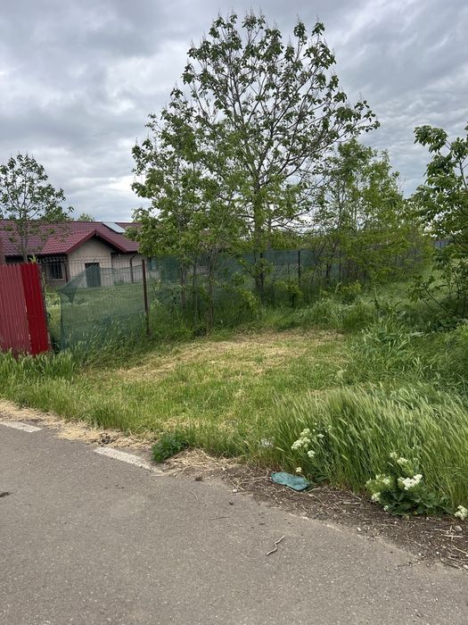 Teren 1410 mp  intravilan in comuna Ileana, jud. Calarasi, aprox 45 km de Bucuresti