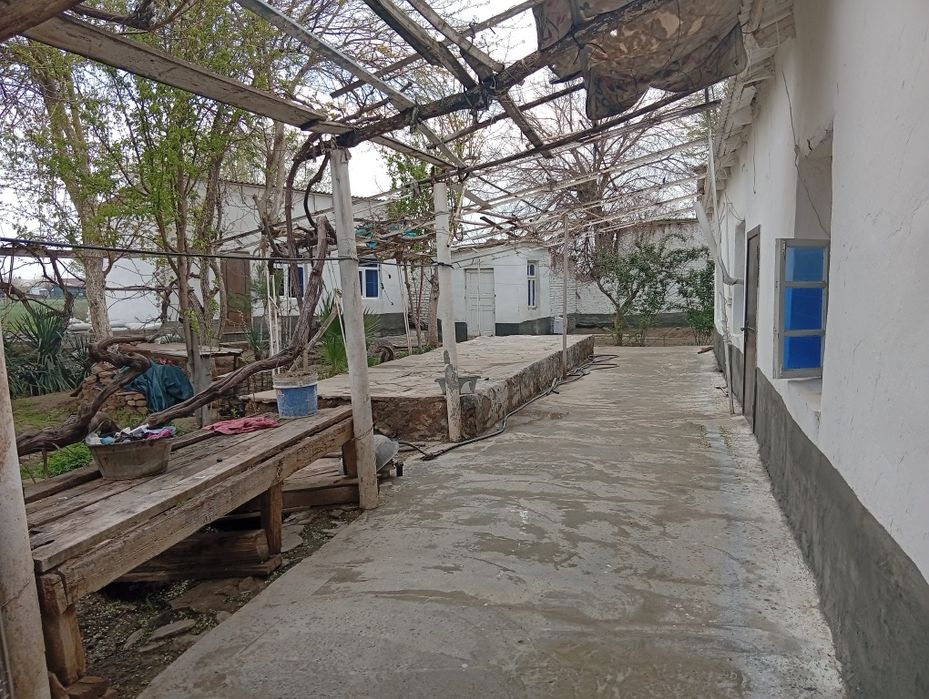 7 hona uy 23 sotix erli hovli sotiladi