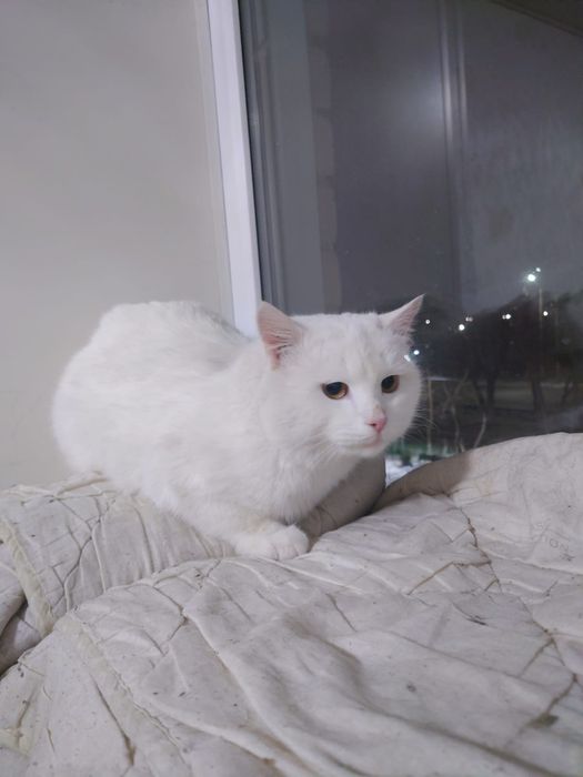 В самые добрые ручки