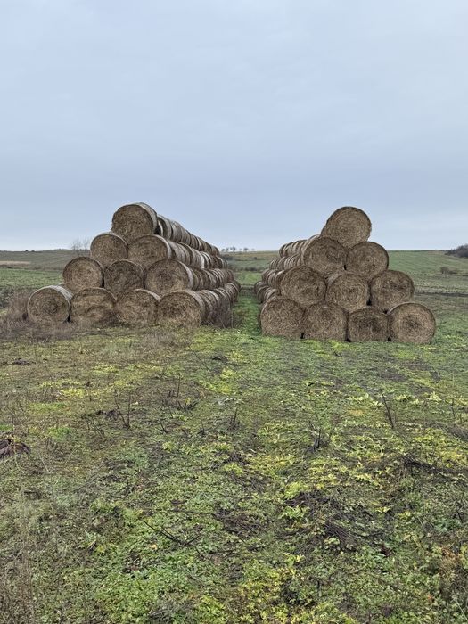 Baloti de paie.