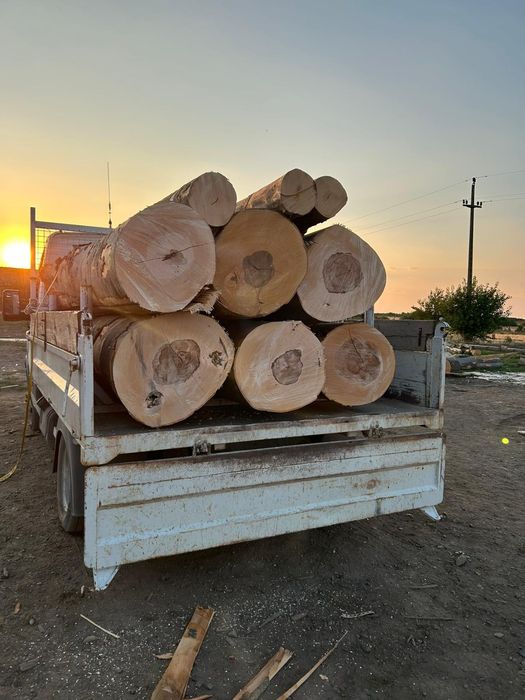 Lemn de esență tare Fag