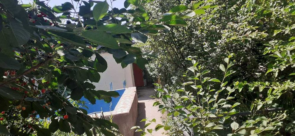 Продается дача ,Паркент район СВТ АВИАСОЗЛАР.остановка Нилюфар