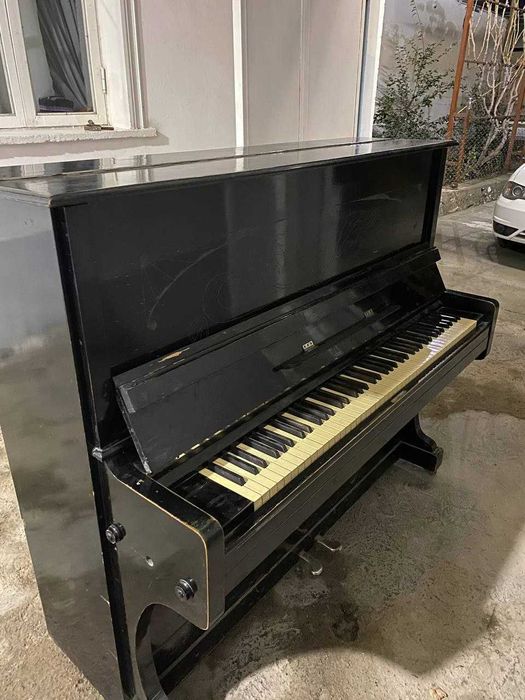 Piyanina qiziqqanlar uchun