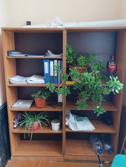 Офисные столы и шкафы 70.000 сум