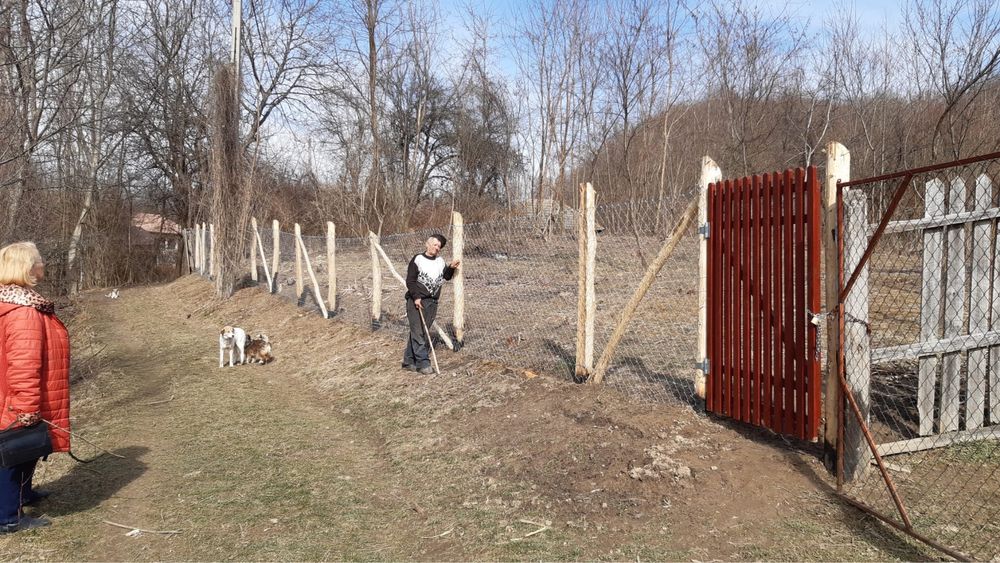 Teren intravilan si padure