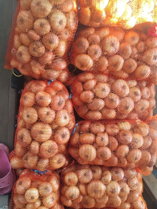 Ciapa albă și roșie