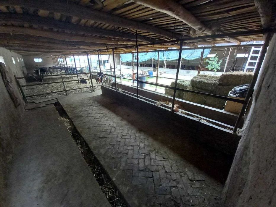 Ферма сотилади! Тошкент туманида (ориентир Сарке махалла)