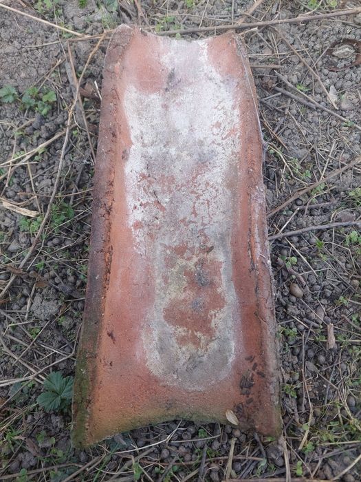 Țiglă solzi și coame