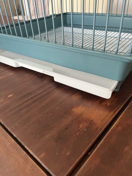 Vand 2 nimfe + cusca