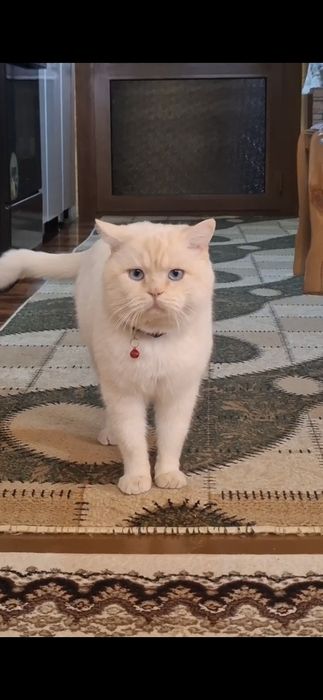 Мушук соглигига гарантия