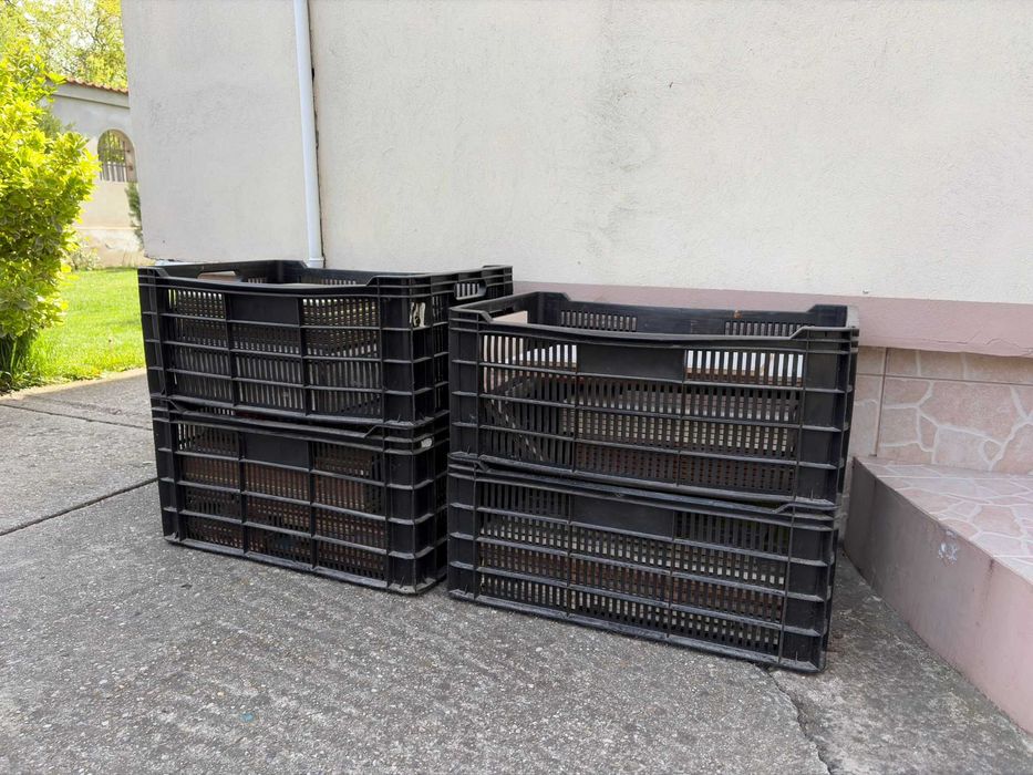 Lazi si Paleti din plastic – ideale pentru depozitare si transport