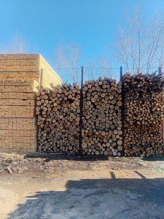 Кругляк по низким ценам