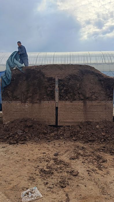 Пори нури гунг куй молдики