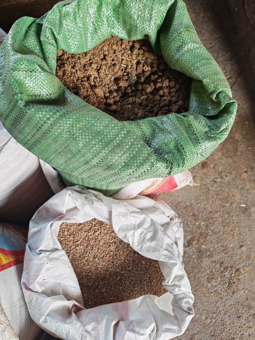 Эхсон, акика ва маросимлар учун тайëр ку́чкорлар сотилади.