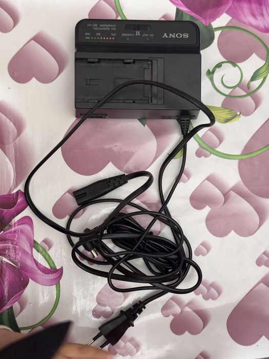 Зарядное устройство Sony BC-U1