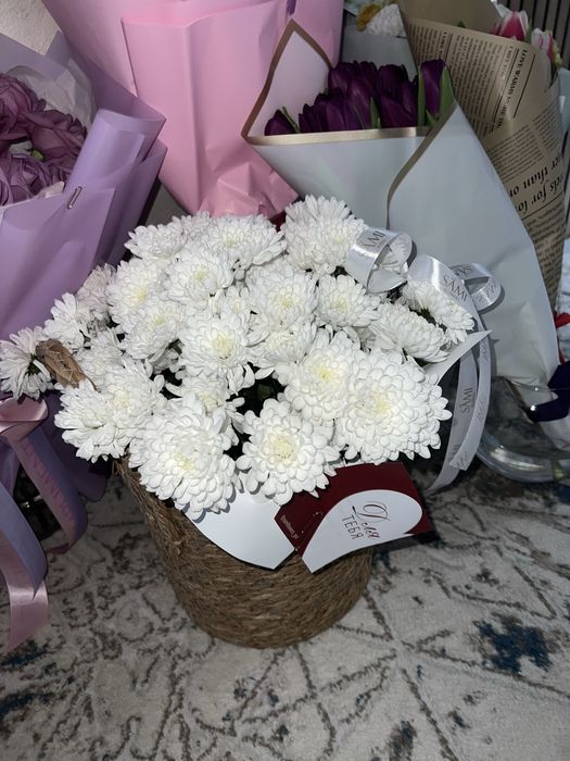 Продам цветы Павлодар