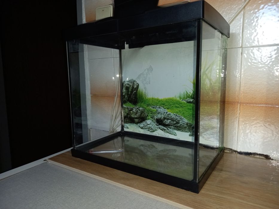Аквариум за рибки с помпа