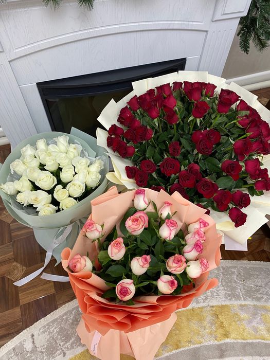 Гулдер бугігі гулл