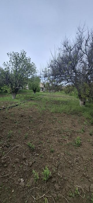 Сдам или продам дачу