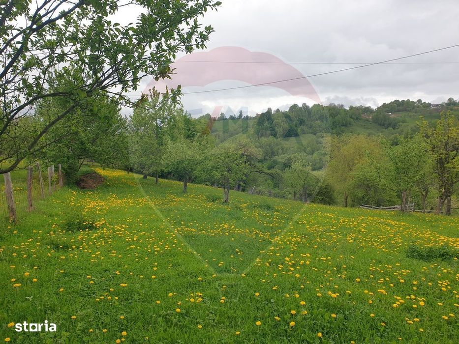 COMISION 0% | Teren 1,000mp Bran | Strada Clincea |