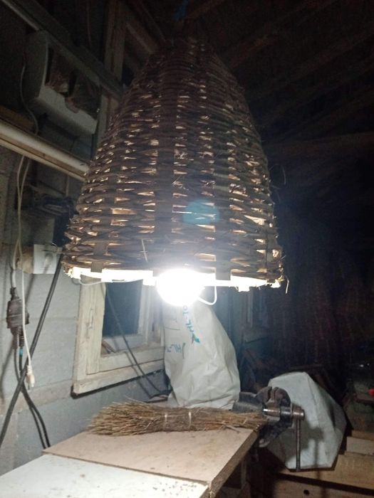 Нови пчелни тръвни