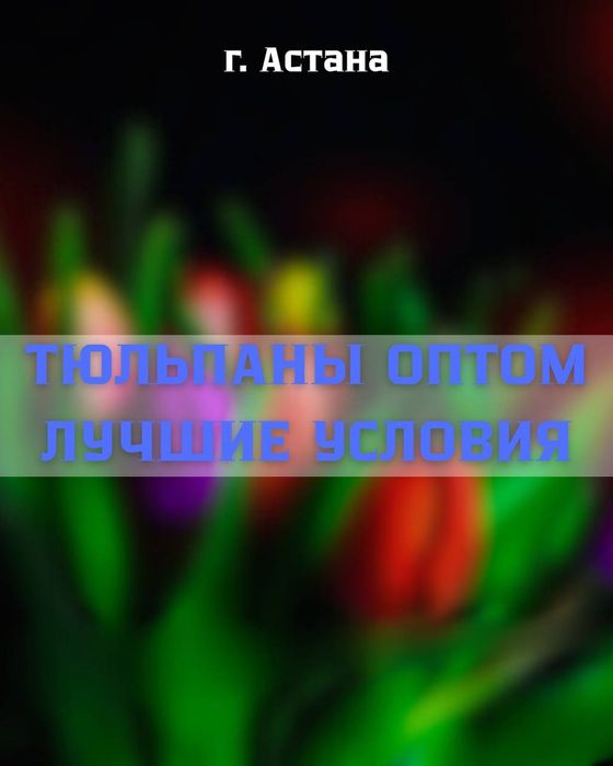 Тюльпаны оптом в Астане