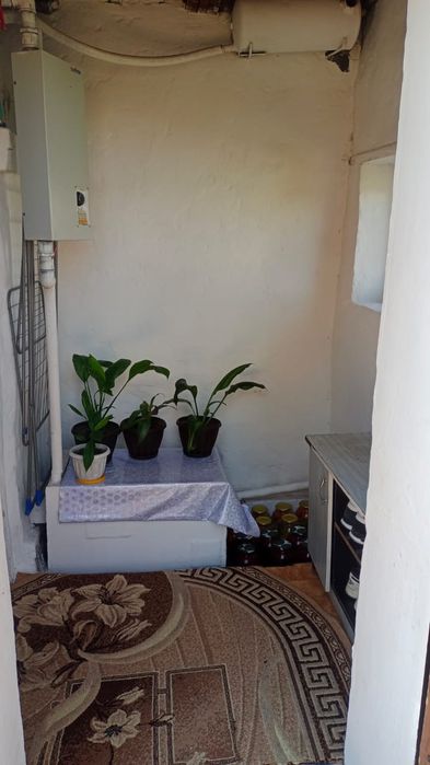 Жаксы жылы уй сатылады