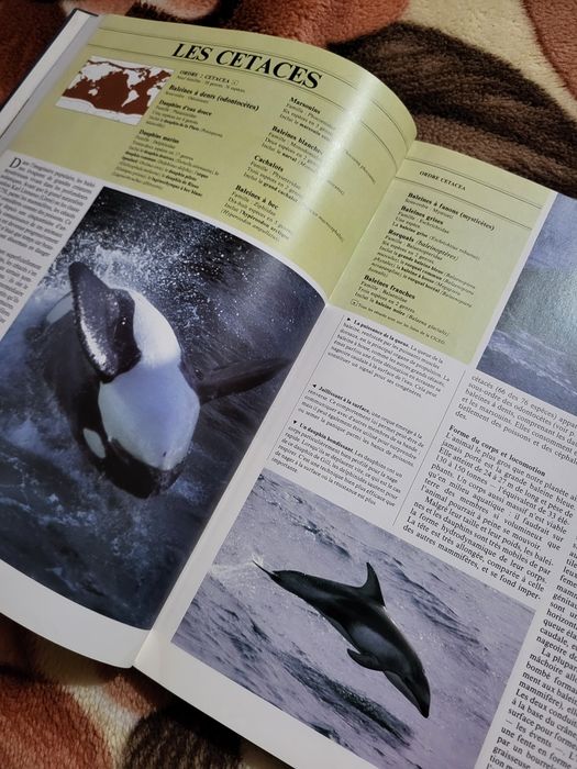 Carte ilustrată Les Mammifères Marins – 1986, France Loisirs