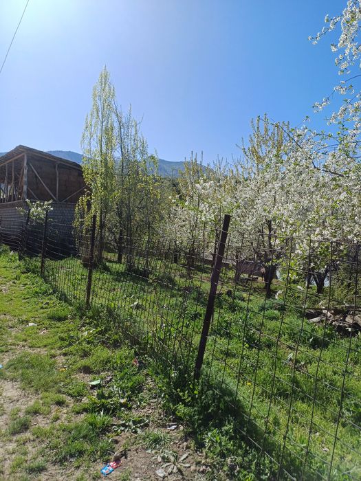 KUMUSHKONDA Yer sotiladi srochna