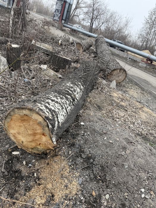 Отдам пиленные деревья