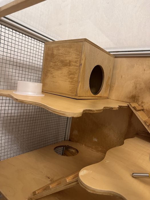 Витрина для грызунов