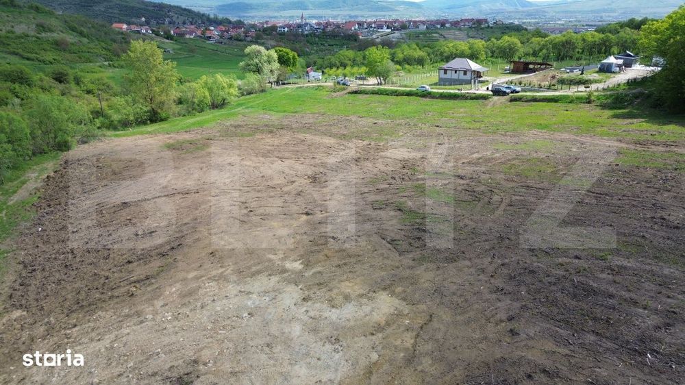 Teren 15.100 mp la baza padurii – ideal parcelare | 14 loturi | priv
