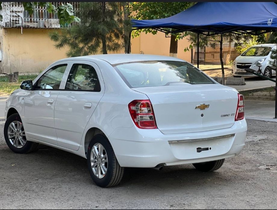 Cobolt stiyle MCM 2026 yangi