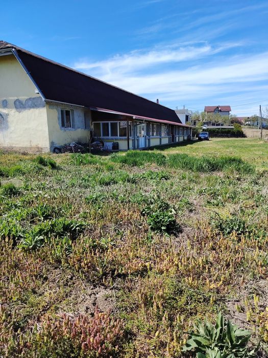 Teren cu casa Badon