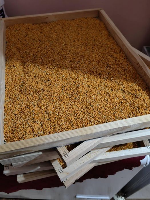 Продавам чист натурален пчелен мед и пчелен прашец